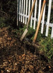 Hedge layering/hedge laying: Hedge-laying is a method of rejuvenating a hedge.