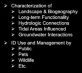 Stormwater Ponds - Information Needs Characterization of
