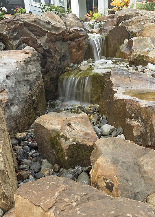 We filled in some areas to give it a more natural shape, added new filtration and created two waterfalls. One fall is a real show stopper with a massive driftwood cave.