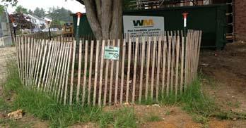 4.2 Example: Wooden Tree Protection Fence installed during