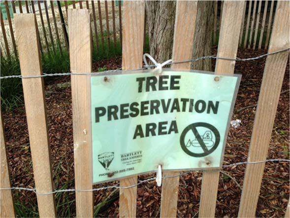 3 Example: Tree Protection Sign used during the Harrington