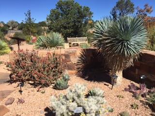 visit a collection of private and public gardens including Santa Fe Botanic Garden and Georgia O'Keeffe's home at Abiquiu.