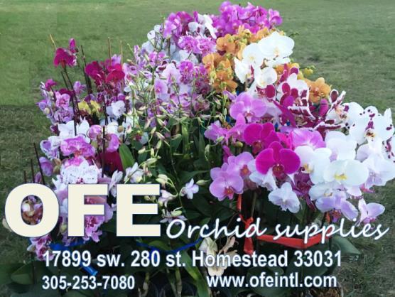 know in order to successfully grow orchids in south