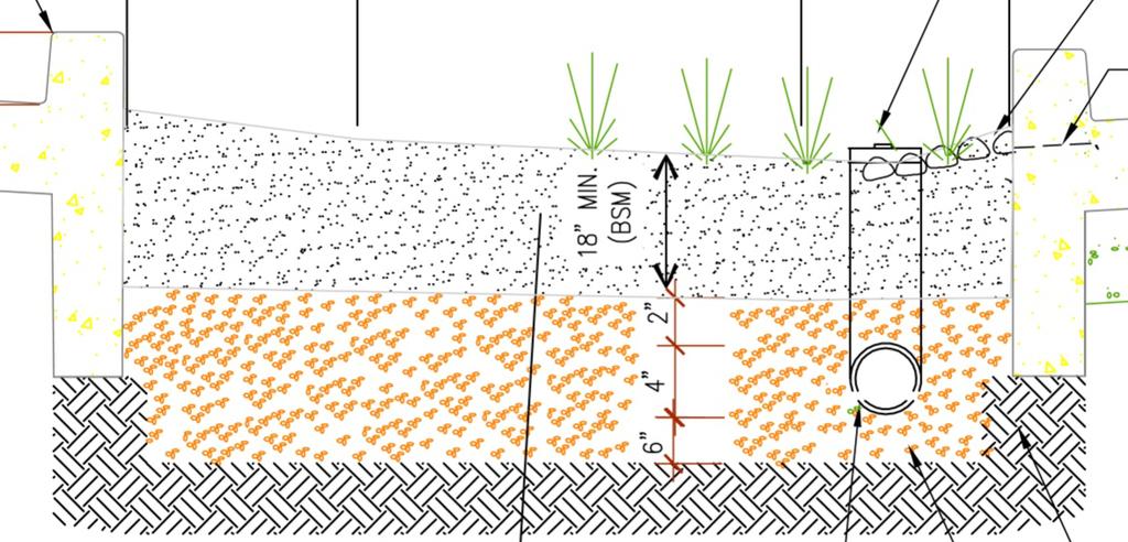 When is a Bioretention Area Infiltration, and When Is It Biotreatment?