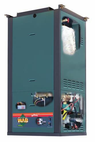 2 1 3 12 10 6 4 9 7 State of the art European combustion technology 8 11 13 1. Control Panel Fully enclosed controls and wiring protect against damage or vandalism.