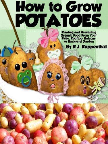 How To Grow Potatoes: Planting