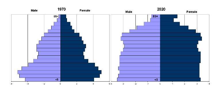 Cultural and Economic Shifts: 1970 2020 Total Population Male Female Age Aging