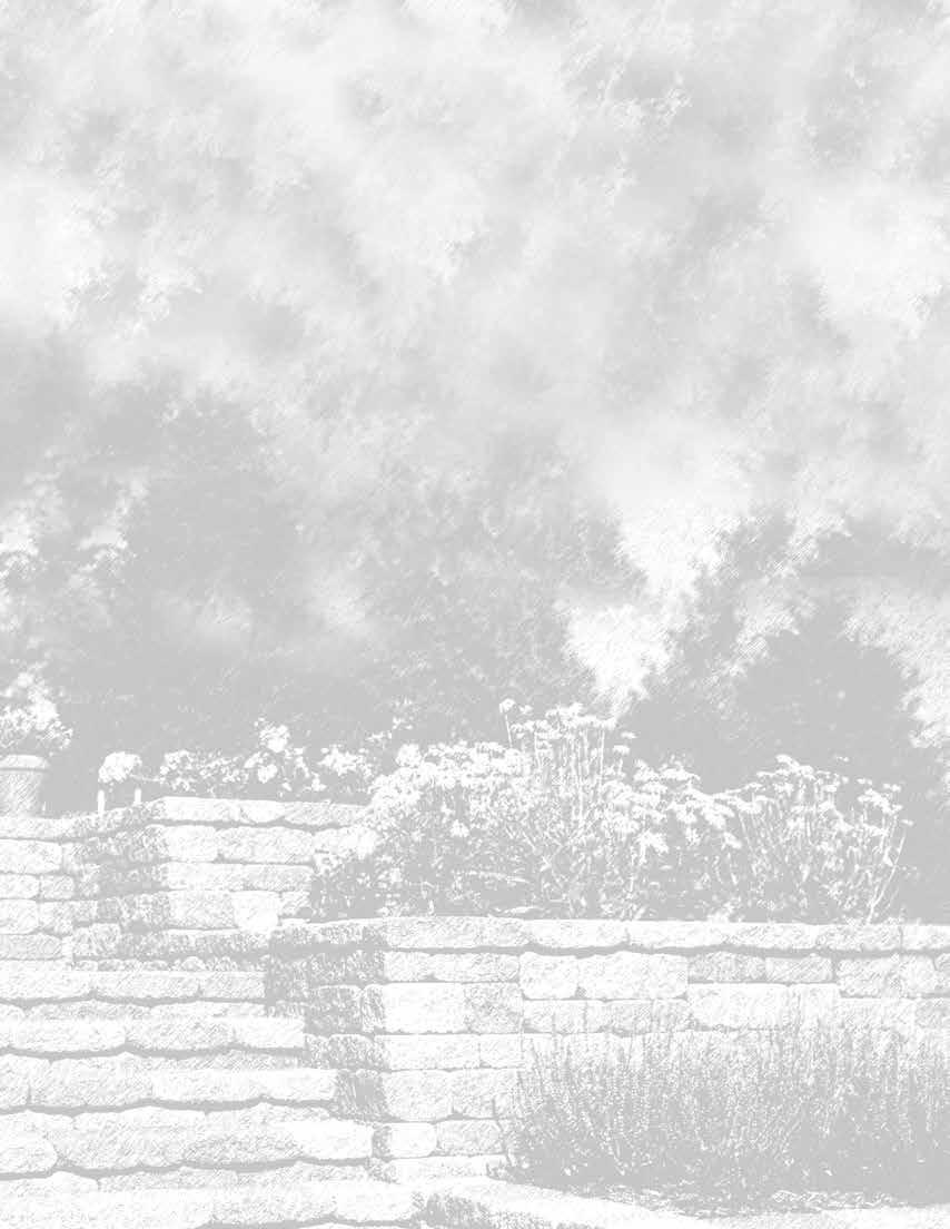D BRICK SIZES & SHAPES " HALF-ROUND Standard Standard Standard NCISCAN ULLNOSE RED CORED CAP COREDFRANCISCAN FRANCISCAN CAP CORED 9 Franciscan 9 Half-Round CAP CORED Solid Paver Split Paver Thin