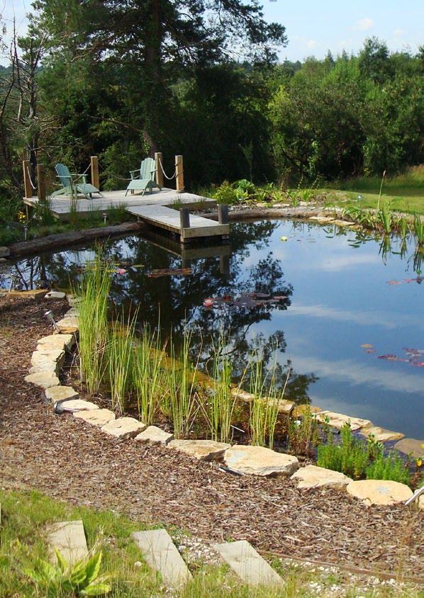 Case Study - Pond Liner Solutions Natural Swimming Pond installed by Cornwall Ponds using our Firestone EPDM 15.25m x 30.5 and 250gsm Geotextile Underlay.