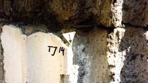 Sample no. 14 Location Cella. Column 1 from the SE, eastern side of the aedicule. Decoration decoration on a column.
