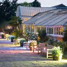 The Garden Suite is approached through the magnificent Sub Tropical and Mediterranean glasshouses and is the ideal choice for larger events