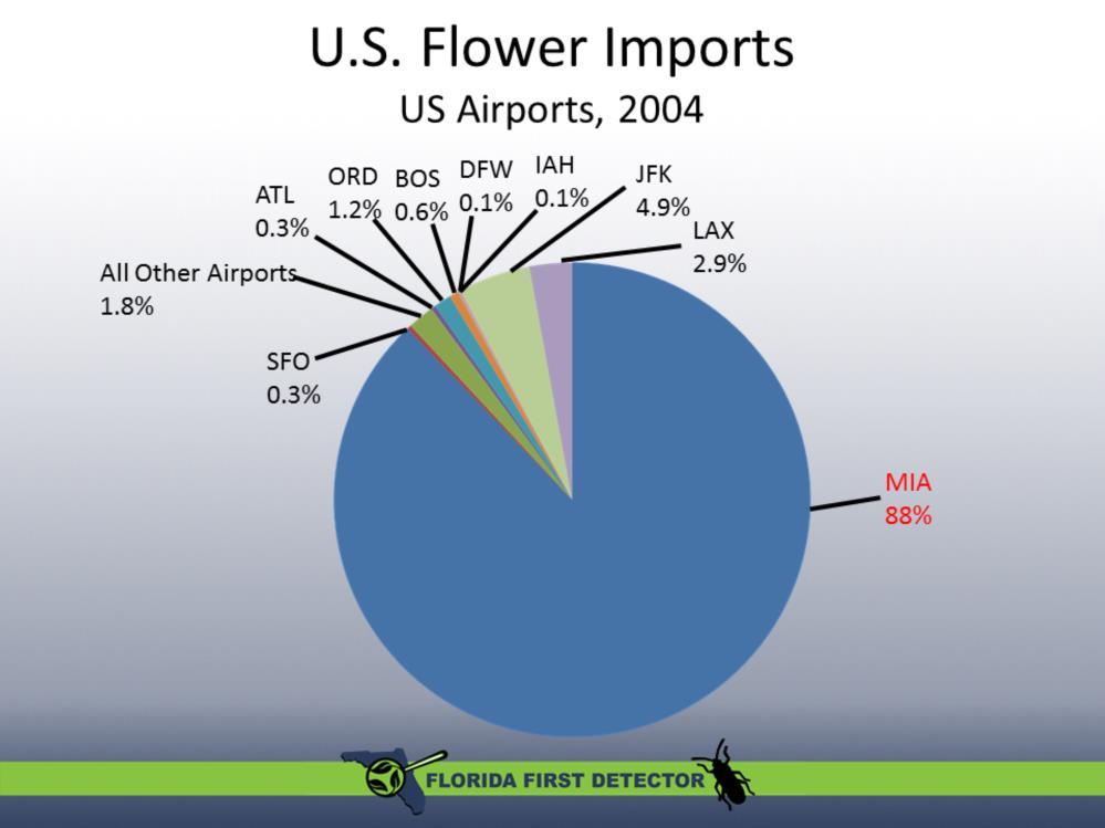 The overwhelming majority of US flower imports (88%) enters the U.S. through the Miami International Airport (MIA on the graph).