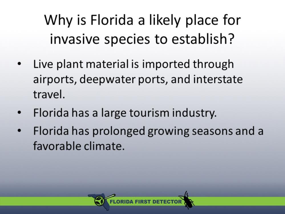Time to review: why is Florida a likely place for invasive species to establish? Live plant material is imported regularly through airports, deepwater ports, and interstate travel.