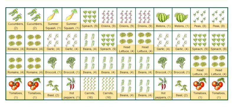 Planning When determining if you should plant seeds or seedling plants, refer to the length of the gardening season.