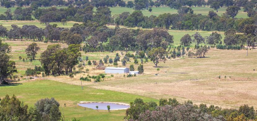 A site at Glenrowan, showing a wet area that was difficult to manage near the shed and water tank.
