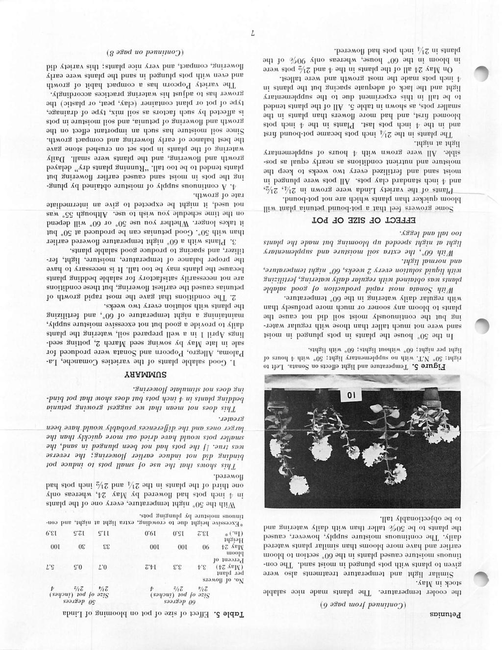 (Continued from page 6) the cooler temperature. The plants made nice salable stock in May. Similar light and temperature treatments also were given to plants with pots plunged in moist sand.