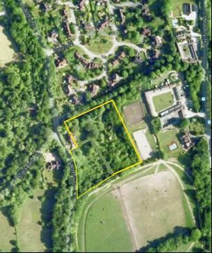 abuts it. The other boundaries are wooded with spaced trees but there is no hedging. Most of the site is unmanaged woodland and there is also a small area of garden with fruit trees.