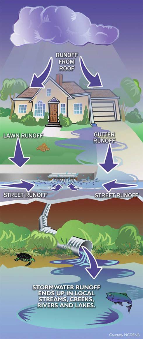 STORMWATER RUNOFF AND YOU: ROOF: - Bird droppings LAWN: - Heavy metals - Pesticides - Fertilizers - Dog & cat poop DRIVEWAY: - Oil /