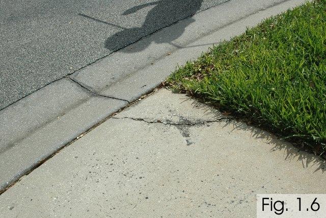 Sidewalks: The sidewalks are continuing to undergo the assault by the street trees.