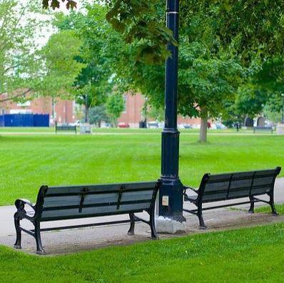 Total Cost = $20,000 8 Benches - $20,000 The Age Friendly London Network has determined that more seating is needed in
