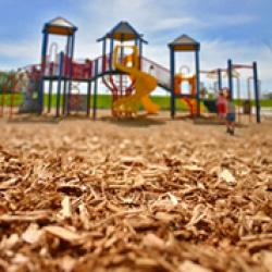 Cantebury Park. The wood chips would be both safer and cleaner for the children using the playground equipment.