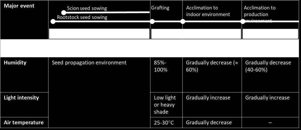 Hydroponic Propagation Methods Timeline and