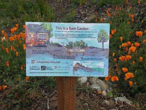 Outcome: Artwork, design and clear messaging was developed for two beautiful interpretive signs that will educate the public about shoreline habitats and impacts of armoring.