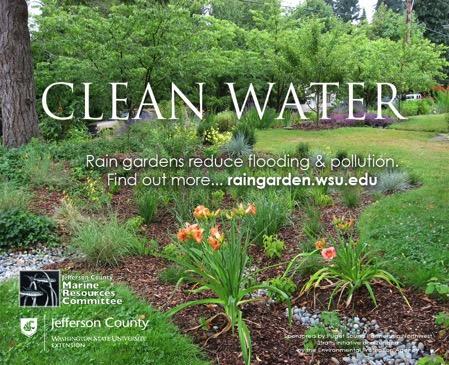 Article in the local newspaper featured the new rain gardens in Port Townsend (Jan 7, 2015) 2.