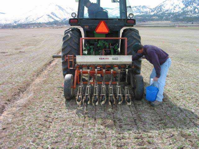 Fertilizer Application Method Research 1) Broadcast application of granular 11-52-0 to the soil surface; 2) Banded application