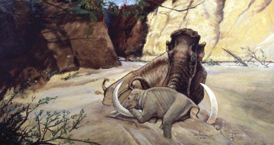 Waco Mammoth Si