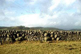 - 3 - This dyke, near Gatehouse of Fleet, Kirkcudbrightshire, shows what could be achieved, with stretches of large stones interspersed with smaller ones.
