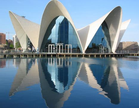 World-renowned (and city-born) architect Santiago Calatrava produced the futuristic City of Arts and Sciences (Ciutat de les Arts i les Ciències),