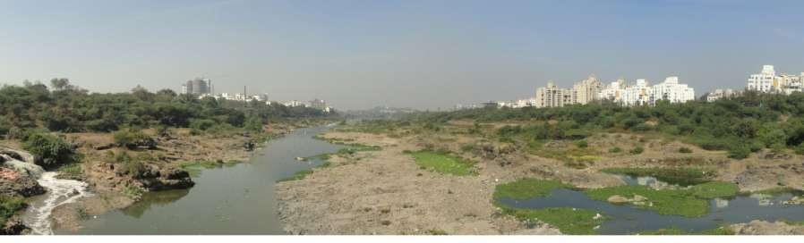 Major portion of water in the existing river is the drainage water directly discharged from the city and treated and untreated effluent from the existing STPs.