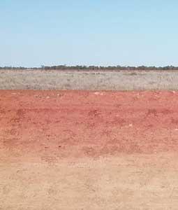The three major soil units used for cotton production in the Hillston area are clay-rich and can be largely identified by their surface colour: Grey; Grey-brown; and, Red.