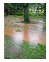 Yard Flooding Options» City of Norwalk, OH Making Norwalk