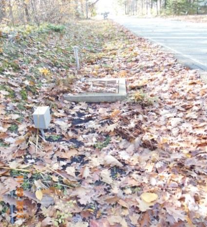 STORMWATER CONTROL MEASURES Well maintained roadside vegetated infiltration swale with storm sewer catch basin outlet.