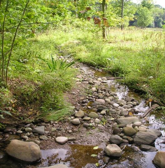 STORMWATER CONTROL MEASURES Non-Structural SCMs: Riparian &Wetland Setbacks and Conservation Areas Riparian and wetland setbacks require the protection of vegetation, soils and drainage patterns in