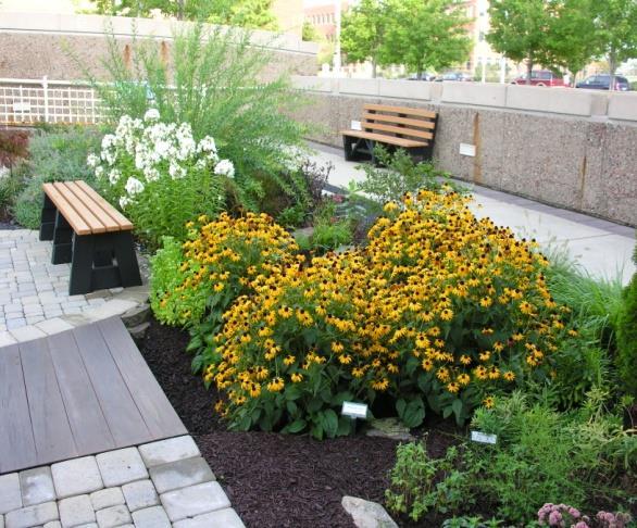 Rain gardens also provide habitat for wildlife such as birds, butterflies and other pollinators.