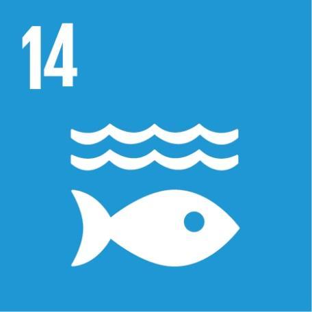 SDG 14: Life below Water 14.1 Pollution 14.2 Ecosystem management for resilience 14.3 Acidification 14.4 Sustainable fisheries 14.
