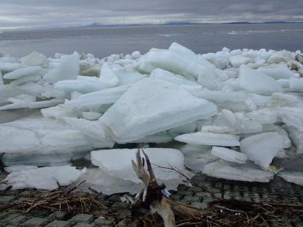 Comments to Share Ice covers the Chukchi, Beaufort and Arctic Ocean for up to ½ the