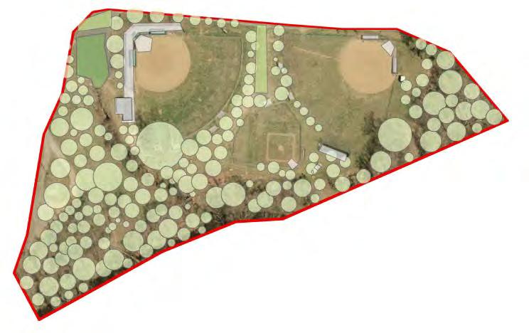 Park Example: City Green for Tree Planning Existing Conditions modeled in CITYGreen Quarry Park, Charlottesville, VA Doubles carbon sequestration