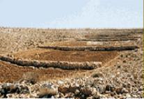 增刊 Mohammad Bakir et al:rainwater harvesting techniques in Syrian Desert 101 Fig.3 AL-Badia view Fig.4 An earth dam in AL-Badia the problem is such that these measures have not been sufficient.