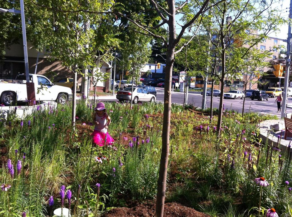Importance of Green Infrastructure Green Infrastructure provides many benefits including: Improved air quality Increased tree canopy and shade Improved management of stormwater quality