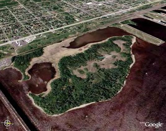 PROJECT BACKGROUND Hog Island is an artificial island in Superior Harbor made from dredge materials. - Newton Creek is a 1.