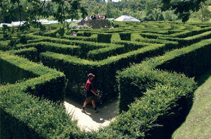 The Maze and Grotto The maze was created in 1987 using 2,400 yew trees. Assume that a team of 6 gardeners worked on creating the maze and that each gardener could plant 12 trees per hour.