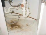 38) The sink sprayer at the kitchen sink is inoperable or defective. It should be replaced, and by a qualified plumber if necessary.