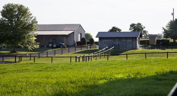 It has been used as a dressage facility. Many extras and top of the line features in the barns, riding arena and home added over many years.