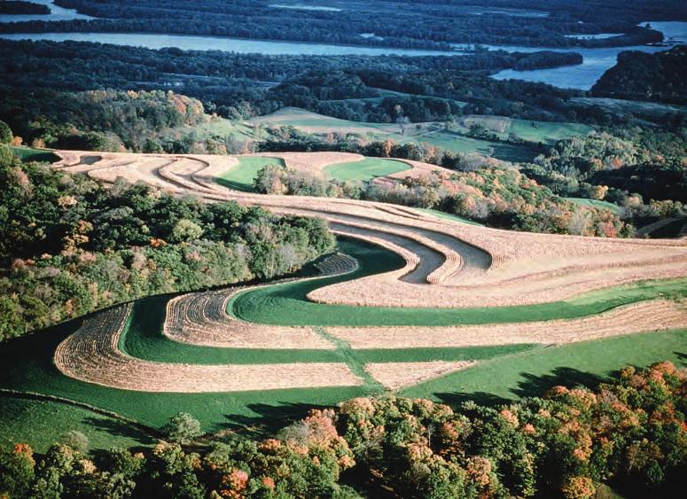 Land Use and Environmental Problems of Soils 543 estimated that in the United States approximately one-third of the topsoil, the most fertile soil near the surface that supports vegetation, has been