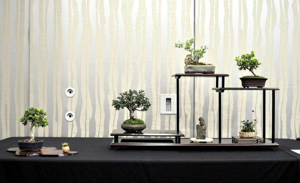 Austin Bonsai Society was well represented in terms of attendees, auction biddings and raffles winnings.