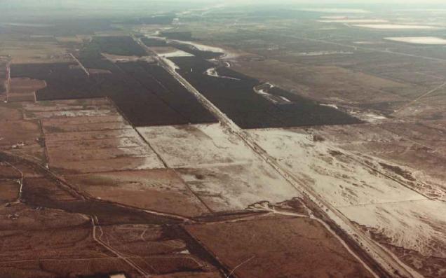 1983 Flood Sahuarita
